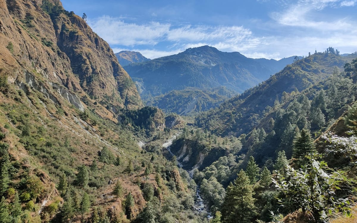 A narrow mountain road cut into a pine-covered slope in Himachal Pradesh